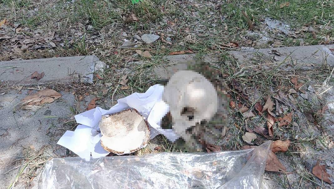 Çöpte kafatası bulundu: 31 yıllık gerçek ortaya çıktı! Polisler de şaştı kaldı 7